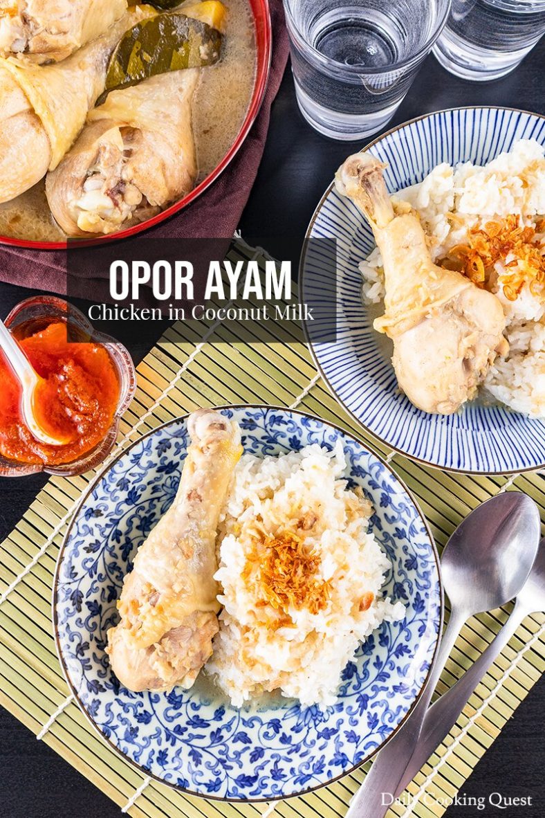 Ingredients for Opor Ayam - Chicken in Coconut Milk